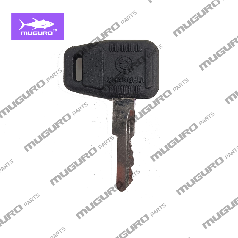 SP115882 Chiave di accensione  - Heavy Equipment Loader recensione e prezzo