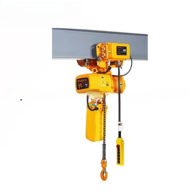 Paranco Elettrico a Catena a D - Heavy Equipment Industry recensione e prezzo
